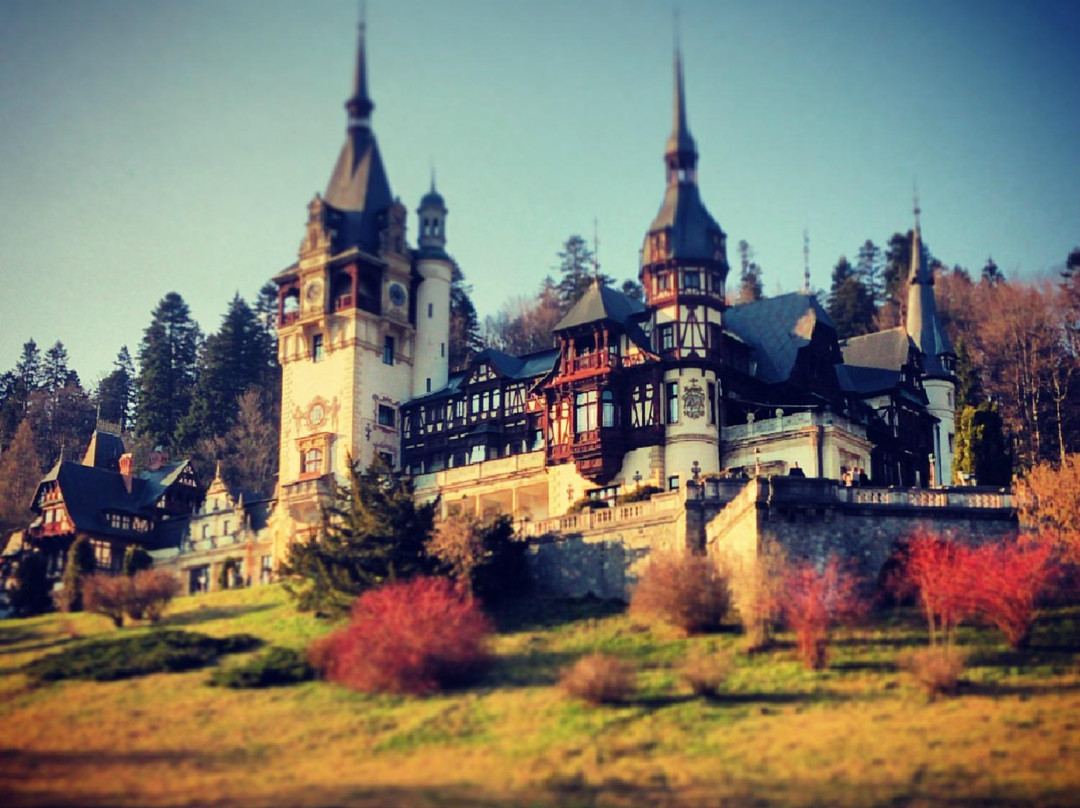Pure Romania - Romania Tours景点图片