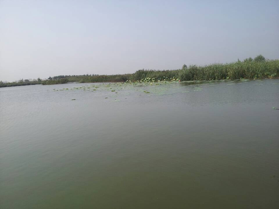 衡水湖-衡水市必去景点