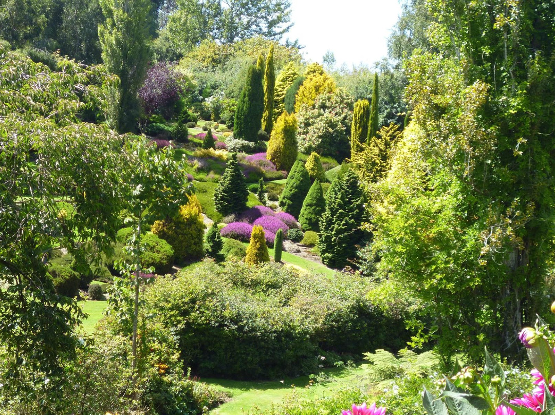 Maple Glen Gardens景点图片