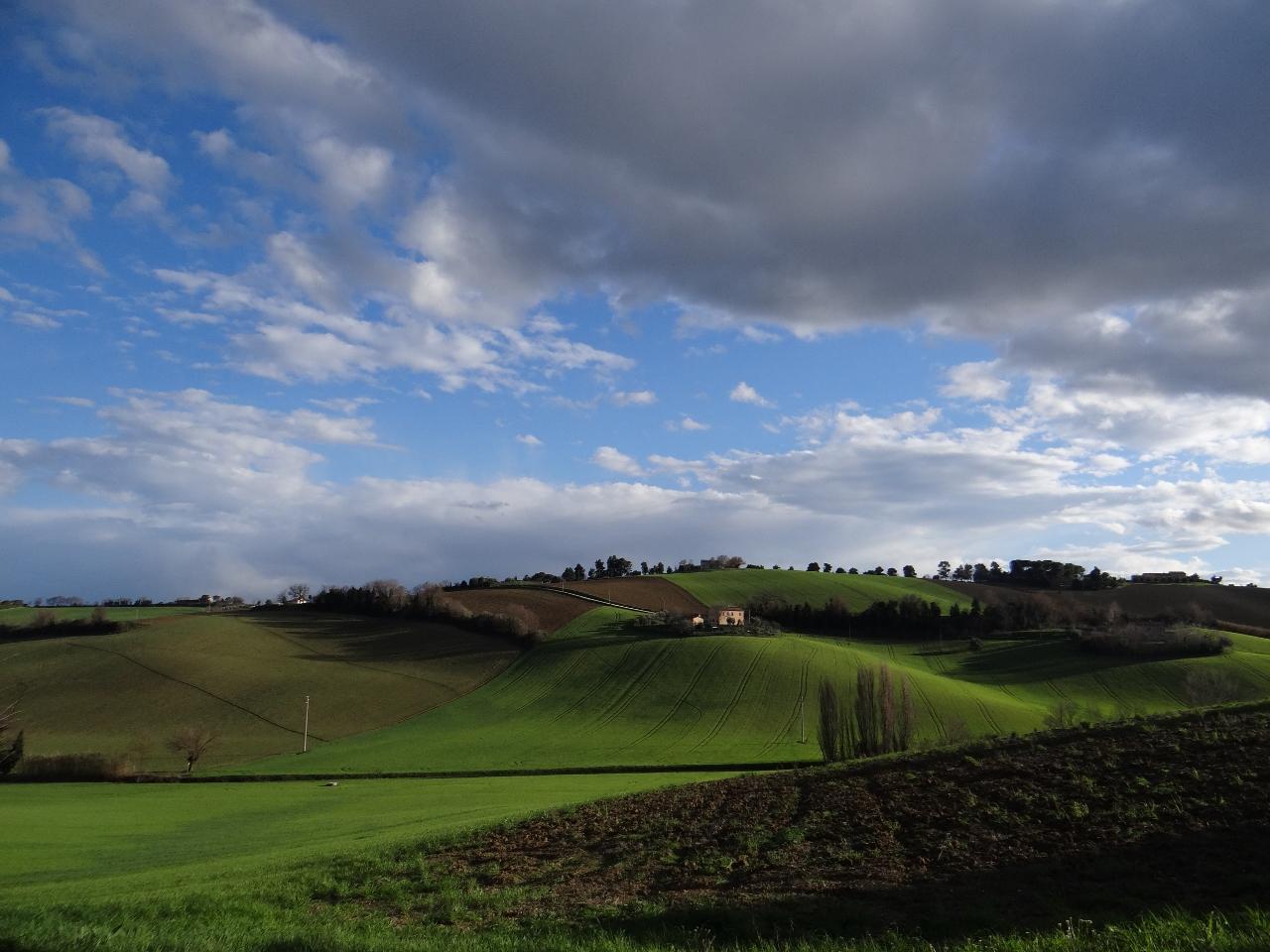 Affittacamere Paradiso Osimo Rooms-官方