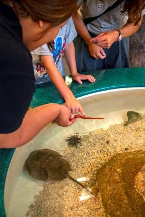 Science Museum of Western Virginia & Hopkins Planetarium-罗阿诺克必去景点