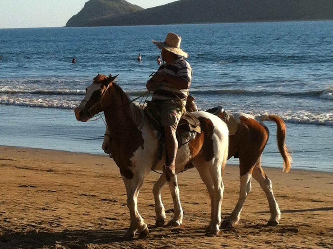 Playa Las Gaviotas-马萨特兰必去景点