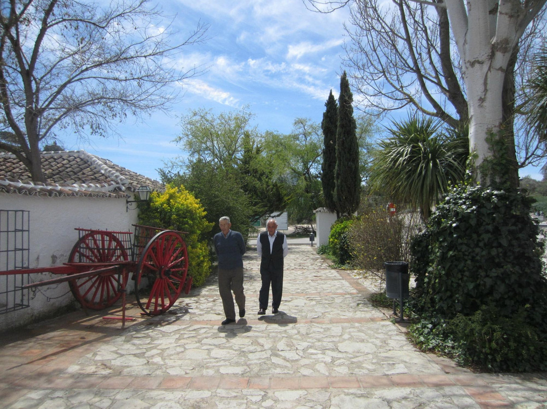 Alfarnatejo餐馆和美食-Antigua Venta de Alfarnate