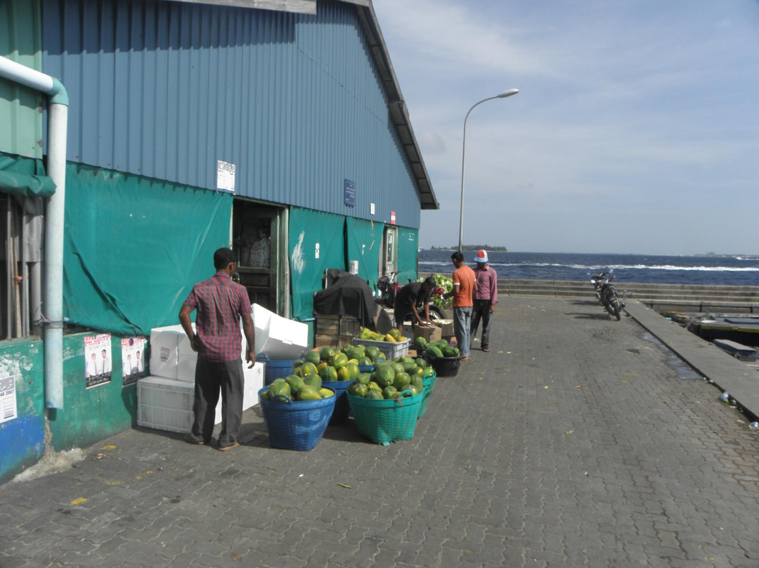 马累男士本地市场-马累必去景点