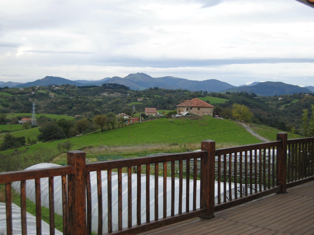 Rural Farmhouse Aristondo主图