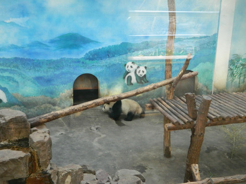 红山森林动物园-南京市必去景点