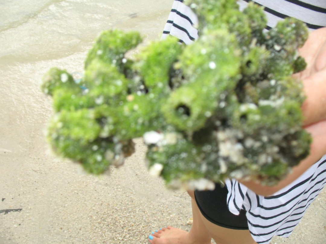 Romodong Beach-邦加岛必去景点