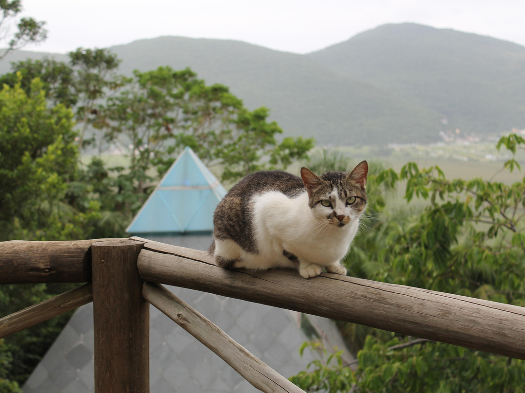 Costeira do Ribeirao酒店住宿-Aruna Espaco Regenerativo