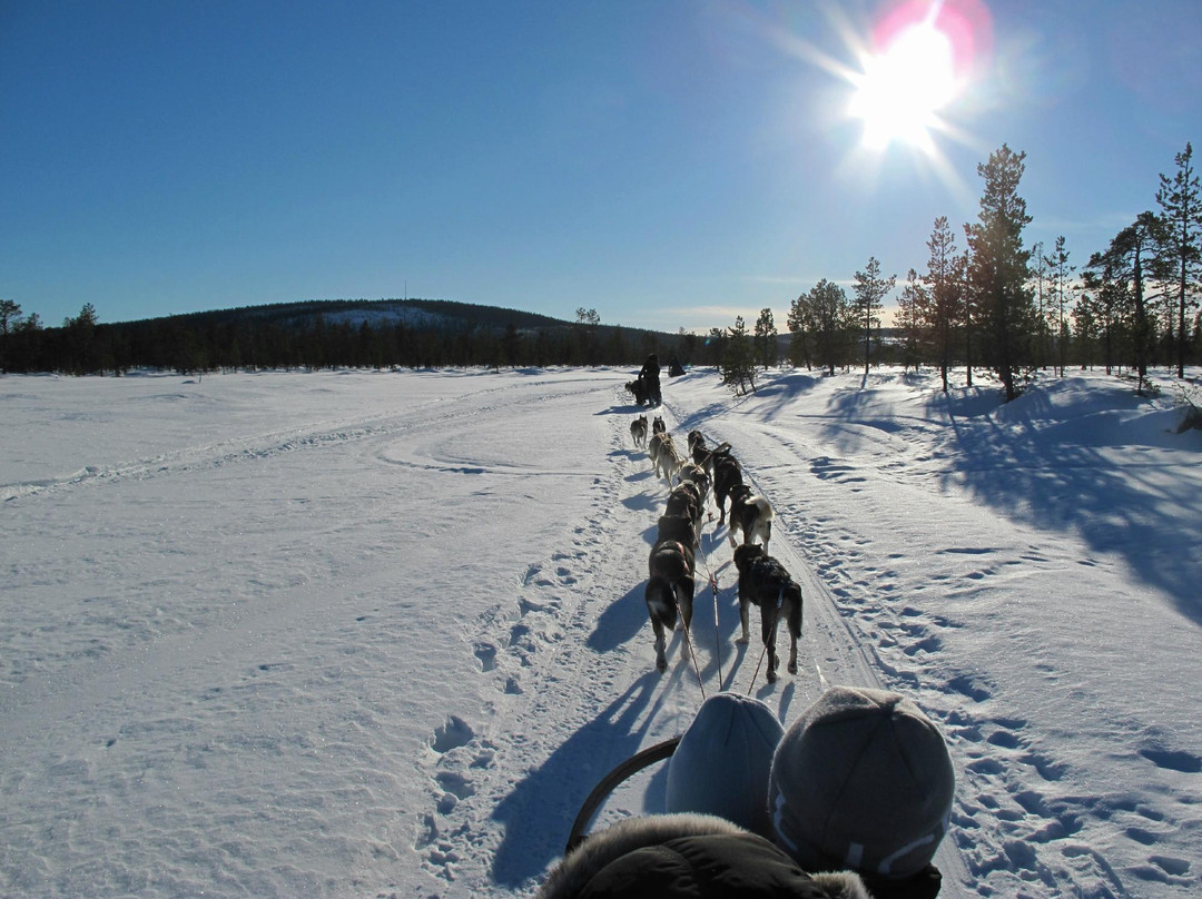 Active Lapland-基律纳必去景点