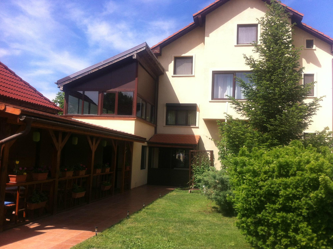 Bazosu Nou酒店住宿-红玫瑰膳食旅馆