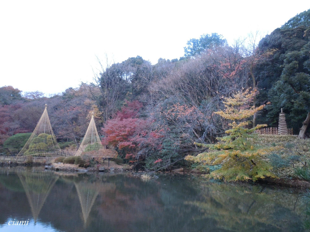 Higo-Hosokawa Garden