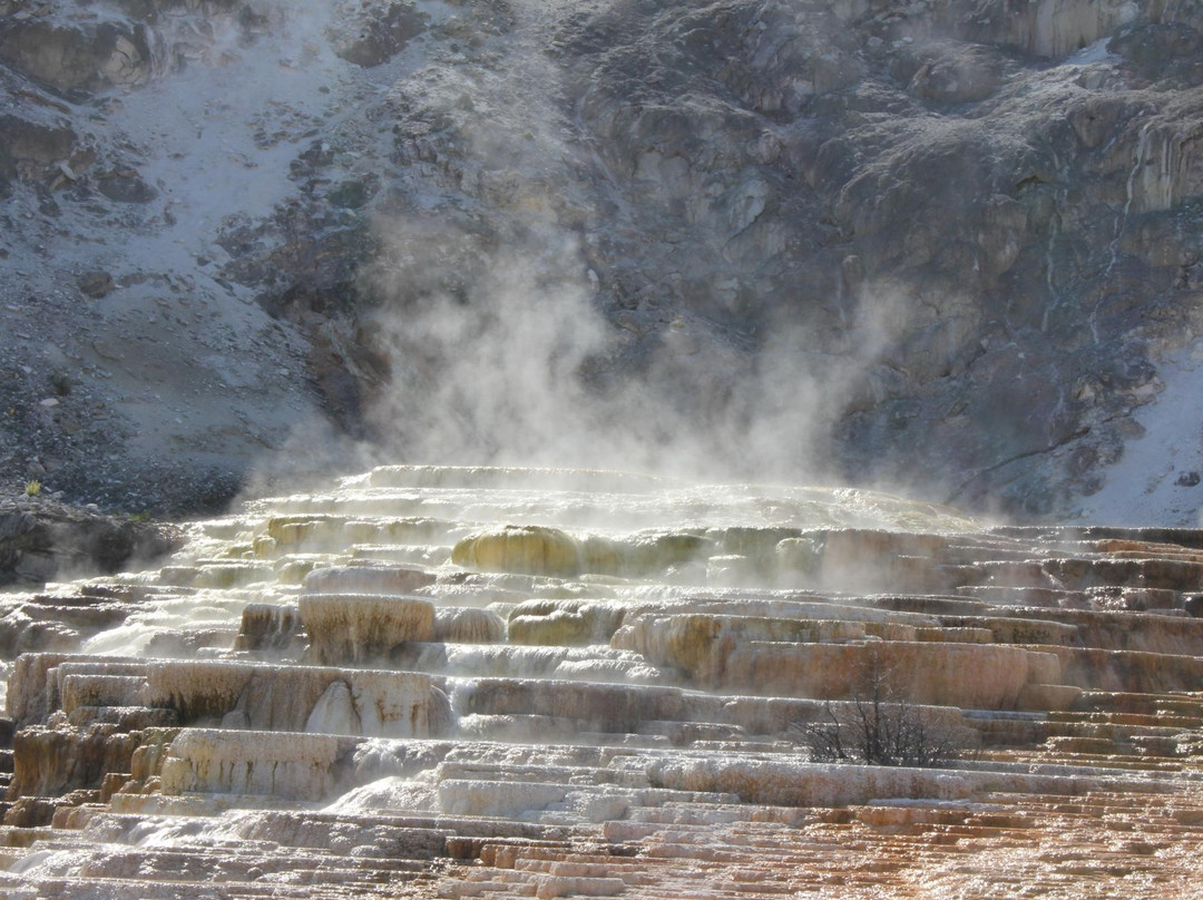 猛犸象温泉-黄石国家公园必去景点