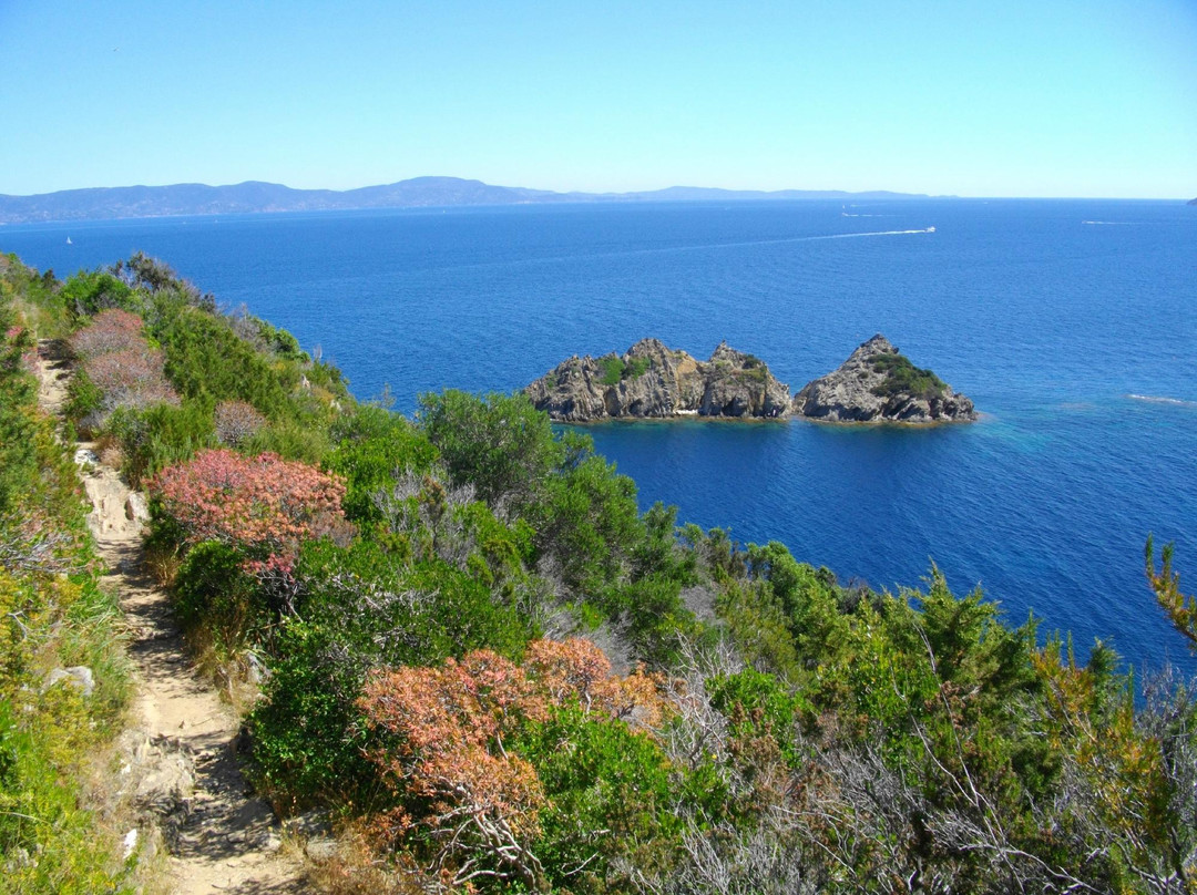 National Park of Port-Cros景点图片