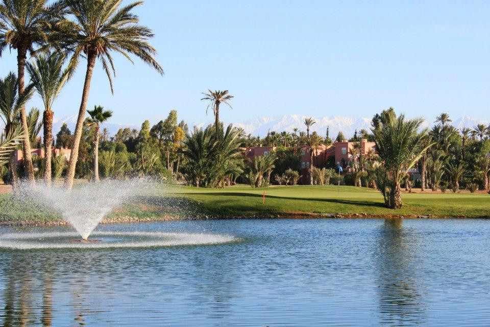 DesertVine - Day Tours-Agdz必去景点