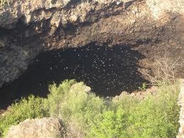 Cueva de los Murcielagos-锡那罗亚必去景点