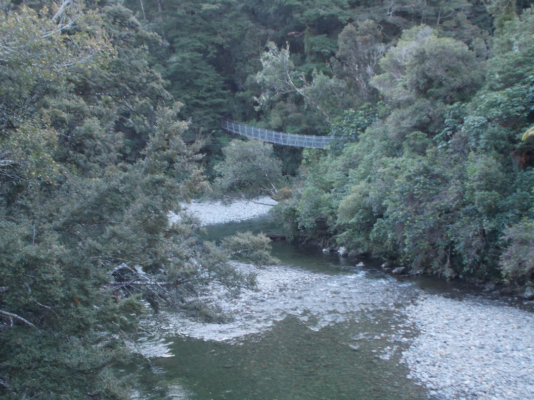 Hammonds Wellington Tours-惠灵顿必去景点