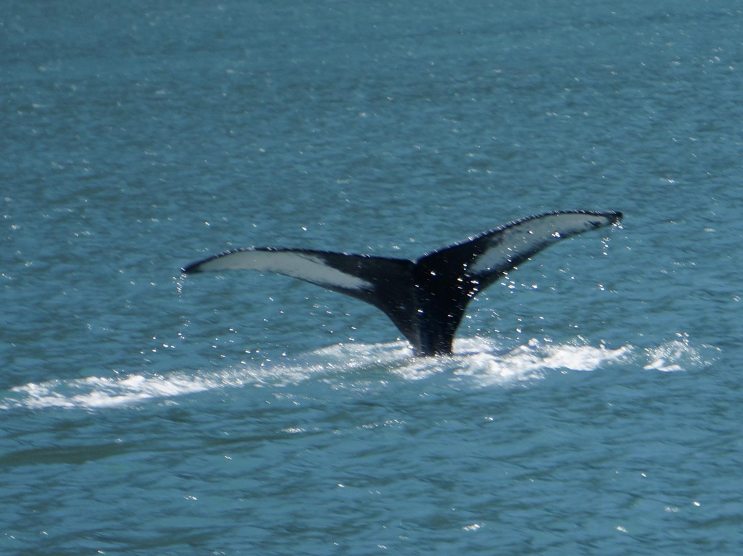 复兴海湾-苏厄德必去景点