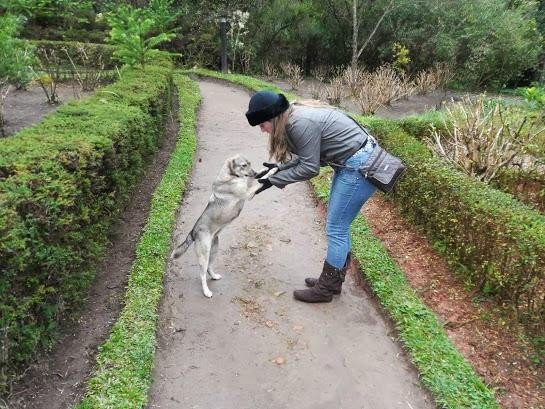 Altus Turismo Ecologico-坎普斯－杜若尔当必去景点