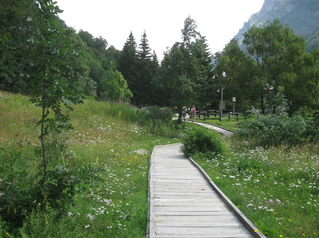 Giardino Botanico Valderia-Valdieri必去景点
