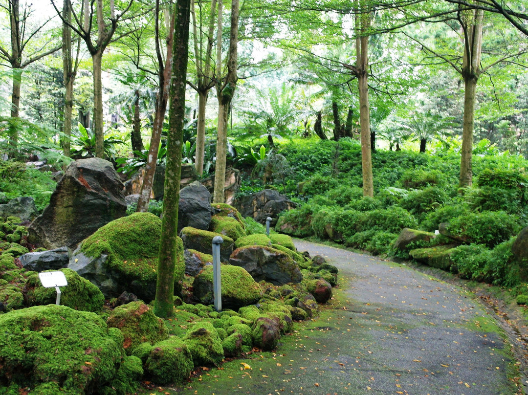 新加坡植物园-新加坡必去景点