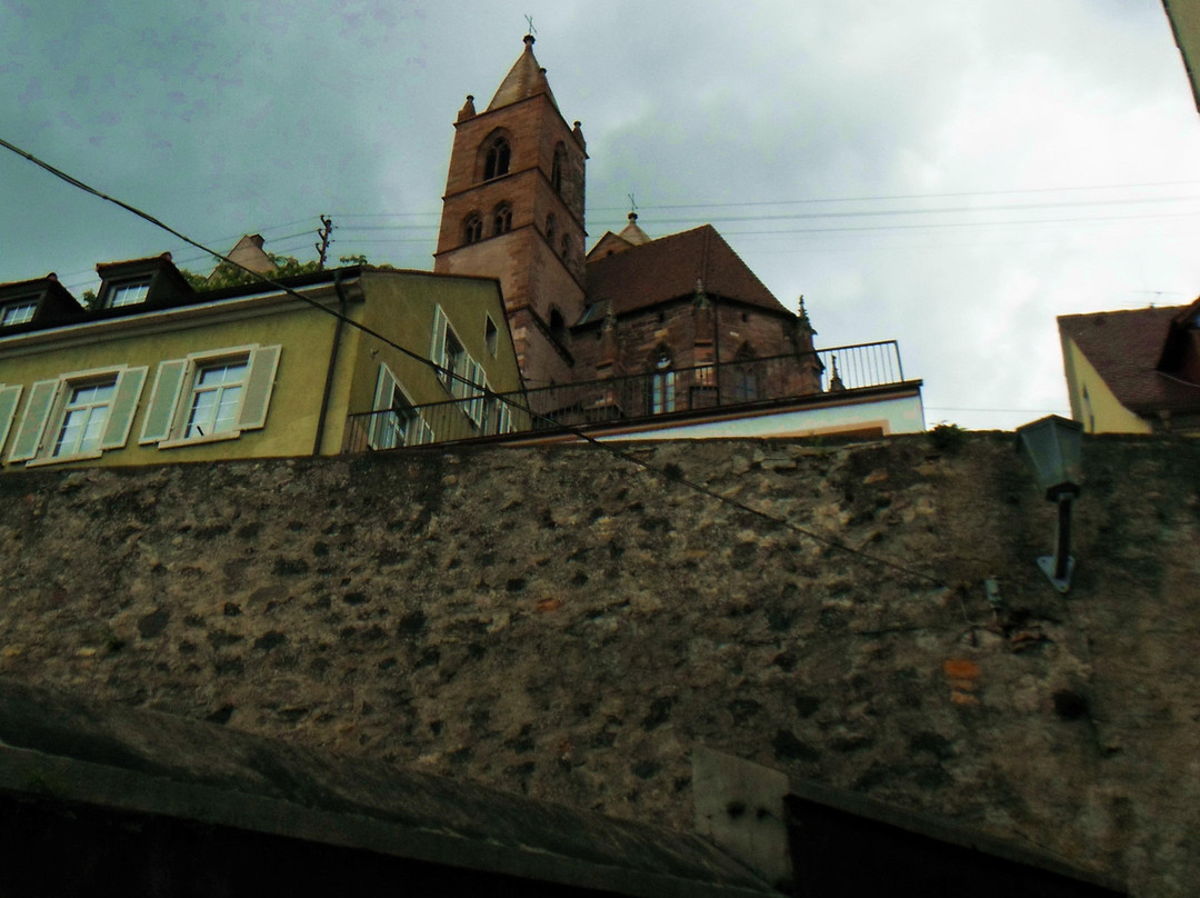 Breisacher Fahrgast Schiffahrt-Breisach am Rhein必去景点
