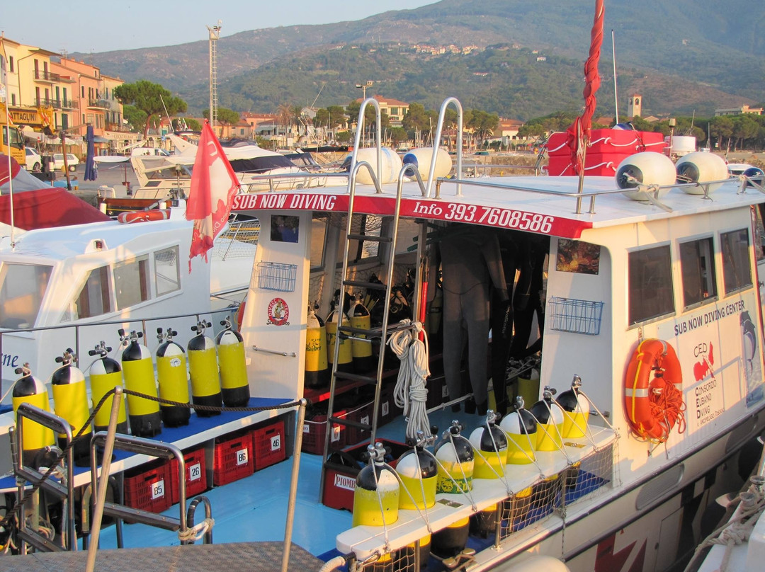 Sub Now Diving Center-Marina di Campo必去景点