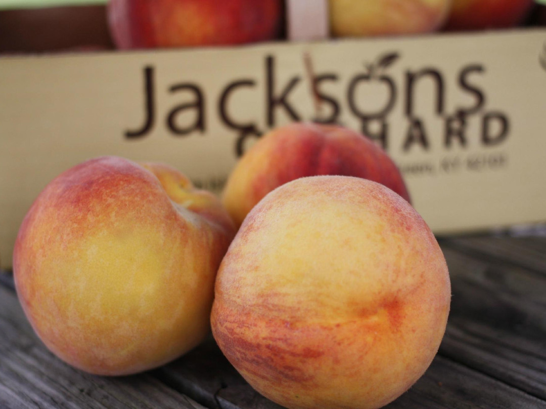 Jackson's Orchard & Nursery-鲍灵格林必去景点