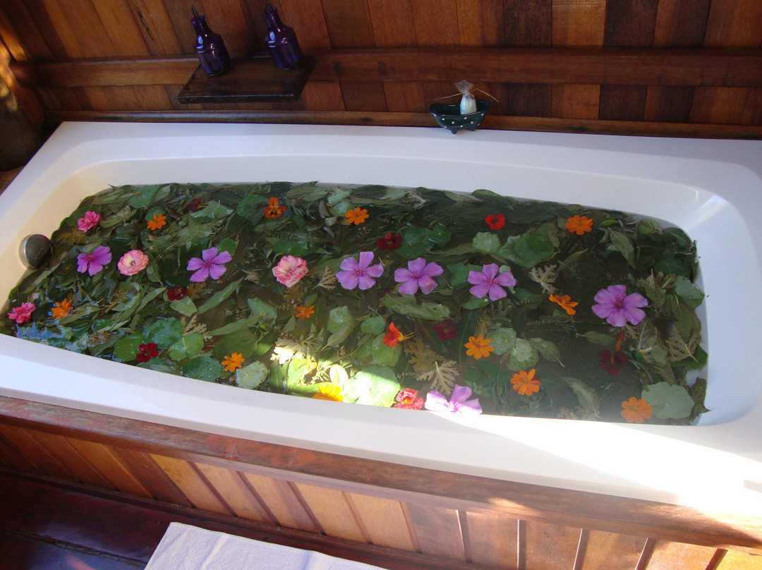 Bruxinhas do Mato-Sao Francisco Xavier必去景点