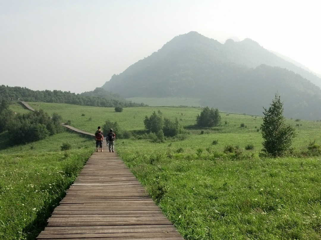 百花山国家级自然保护区-北京市必去景点
