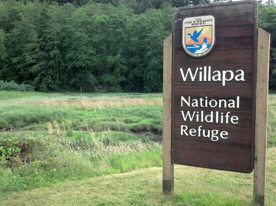 Willapa National Wildlife Refuge景点图片