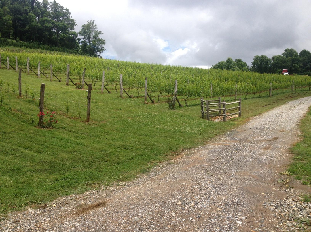 Linville Falls Winery景点图片