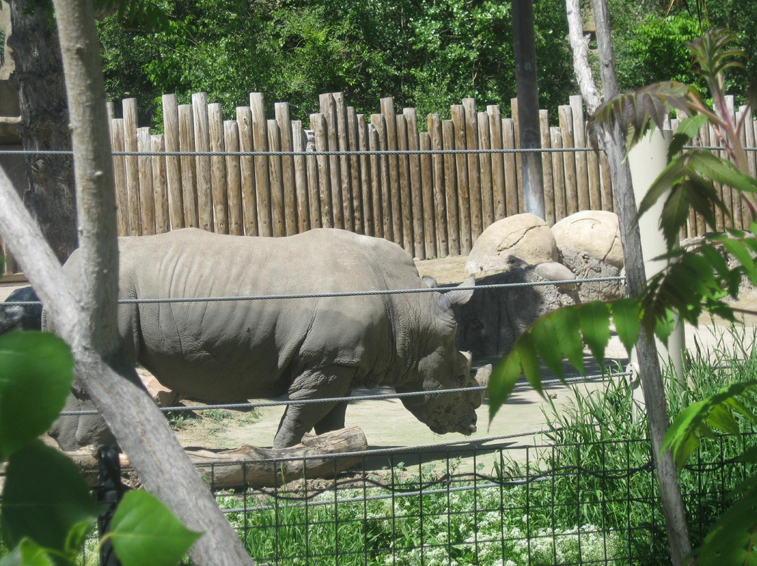 犹他州霍格尔动物园-盐湖城必去景点