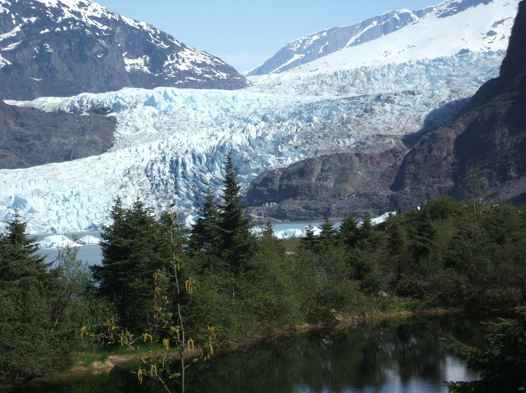 Juneau Tours & Whale Watch-朱诺必去景点