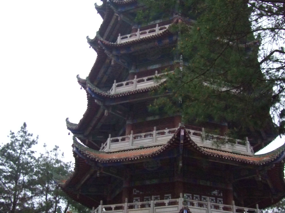 南湖公园景点图片