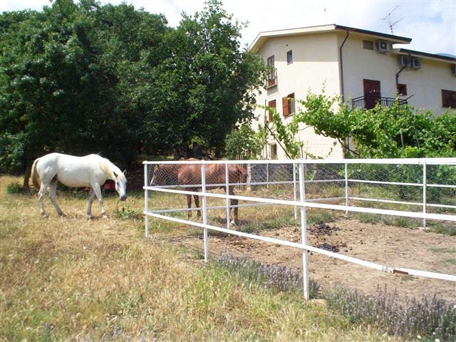 B&B Villa Calagioli主图