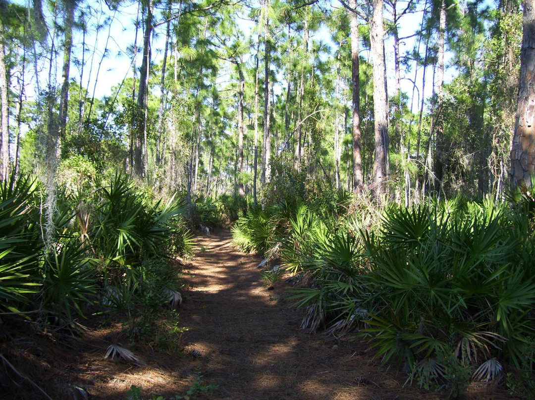 Cedar Point Environmental Park-恩格尔伍德必去景点