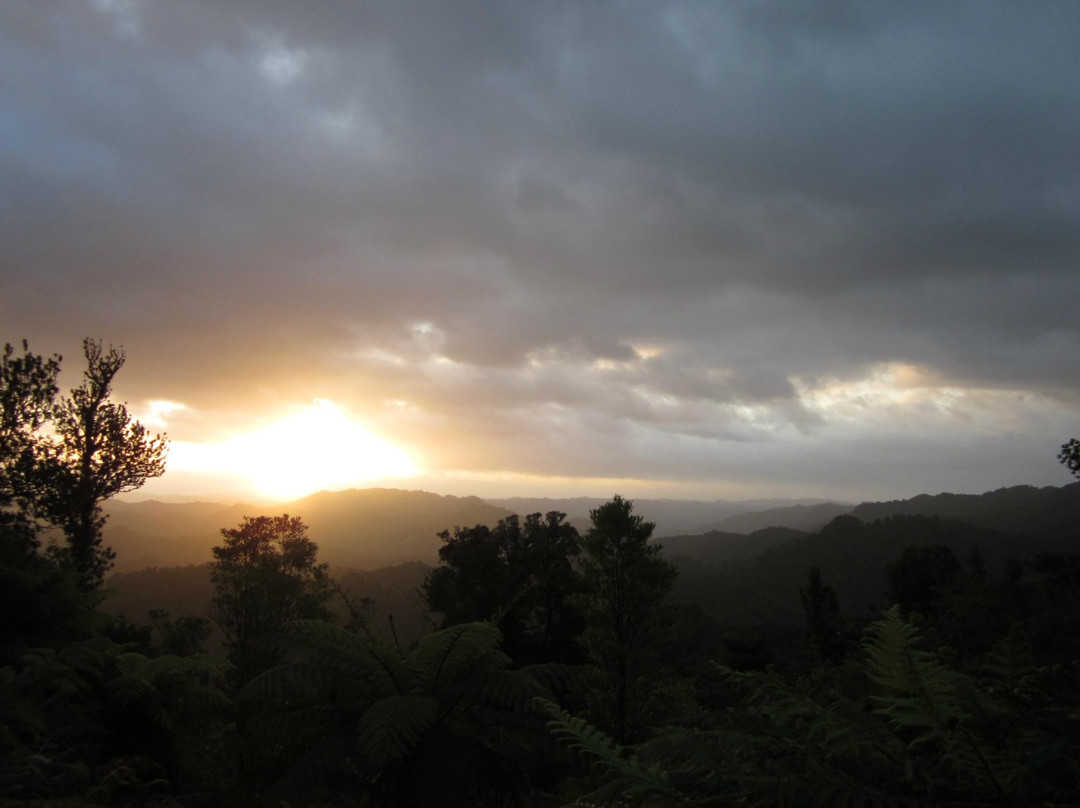 Eastern Taranaki Experience景点图片