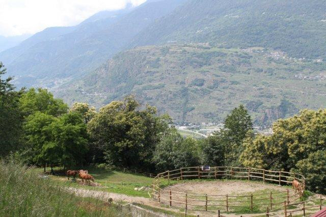 Equitazione Alpina景点图片