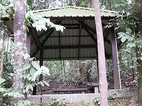 武吉知马自然保护区-新加坡必去景点