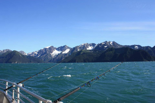 Puffin Fishing Charters-苏厄德必去景点