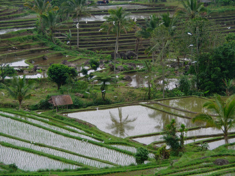 Amanaska Bali-沙努尔必去景点