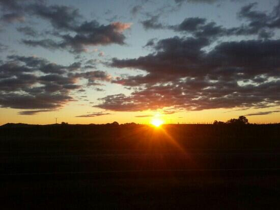 Mudgee Wines-马奇必去景点