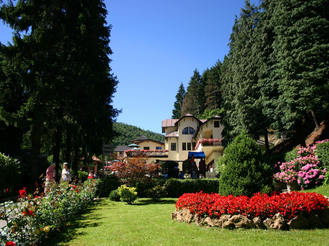 Istituto Idrotermale di Lurisia - Terme e Centro Benessere-Lurisia必去景点