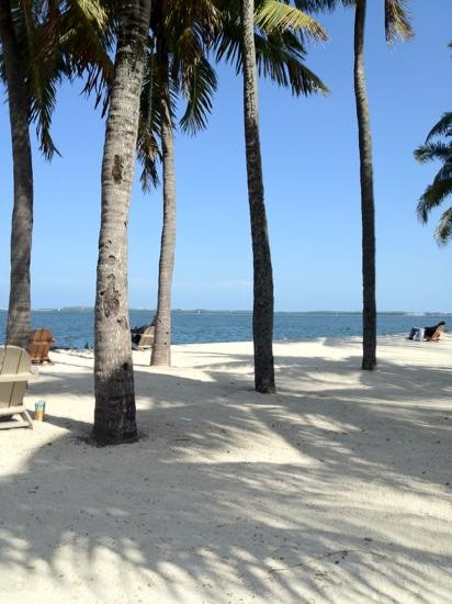 海湾公园-迈阿密必去景点