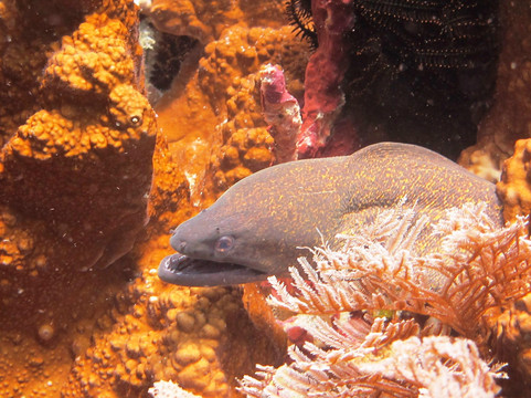 Bali Bubbles Dive Center-甘地达萨必去景点