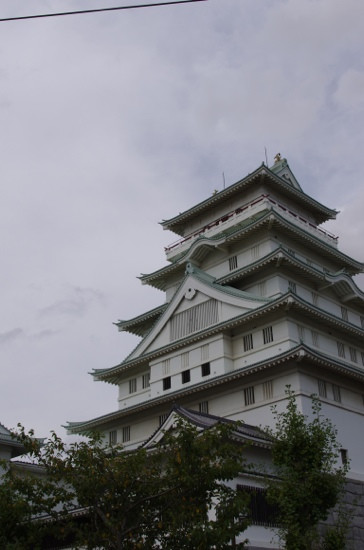 Regional Exchange Center (Toyoda Castle)-常总市必去景点