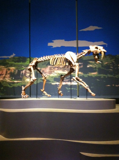 Tellus Science Museum-Cartersville必去景点