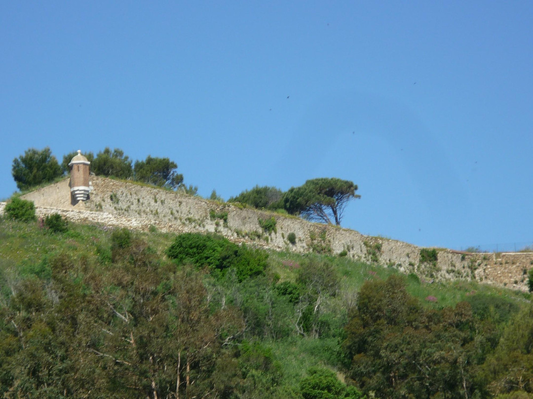 Citadelle de Saint-Tropez - Musée d'histoire maritime-圣特罗佩斯必去景点