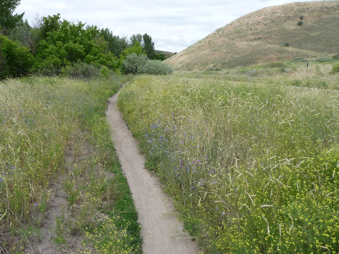 Ridge to River Trail System-博伊西必去景点