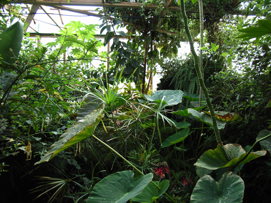 Felinwynt旅游攻略图片